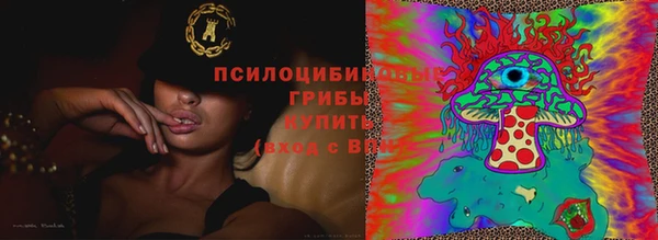 стафф Коряжма
