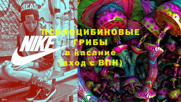 стафф Коряжма