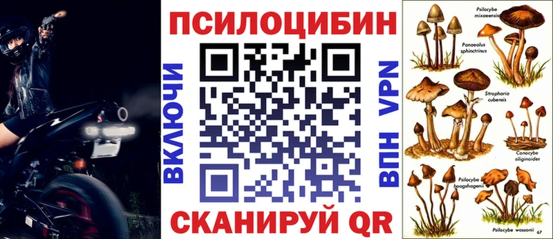Купить закладки  Красный Кут  Псилоцибиновые грибы Psilocybine cubensis 